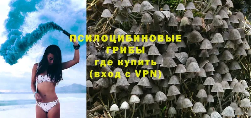 Псилоцибиновые грибы MAGIC MUSHROOMS  Мыски 